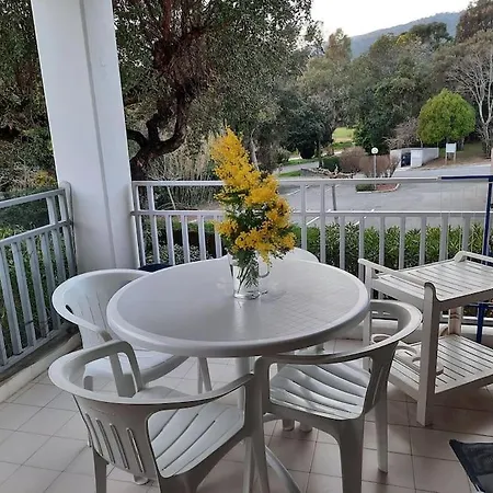 Cavaliere Au Chene Liege