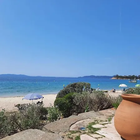 Cavaliere Au Chene Liege ル・ラヴァンドゥー