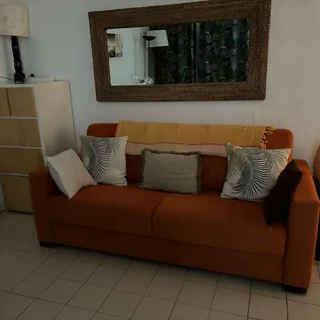 Cavaliere Au Chene Liege