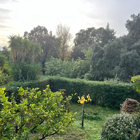 Cavaliere Au Chene Liege * لو لا فاندو