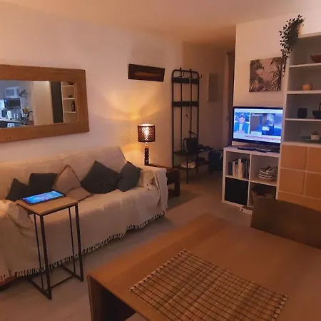 Cavaliere Au Chene Liege Le Lavandou