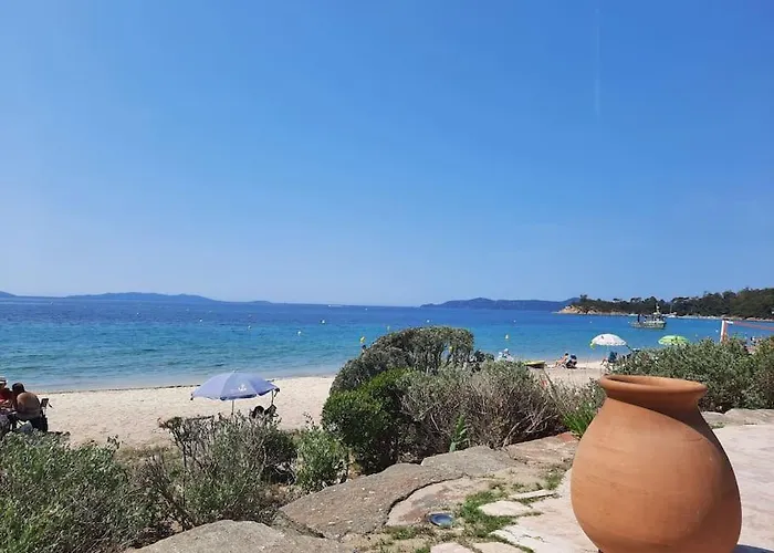Cavaliere Au Chêne Liège Le Lavandou