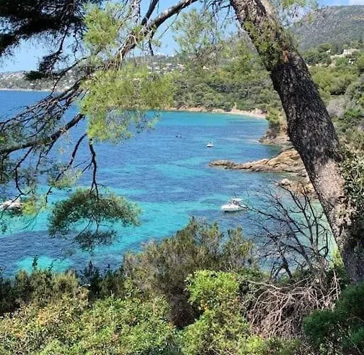 Cavaliere Au Chêne Liège *