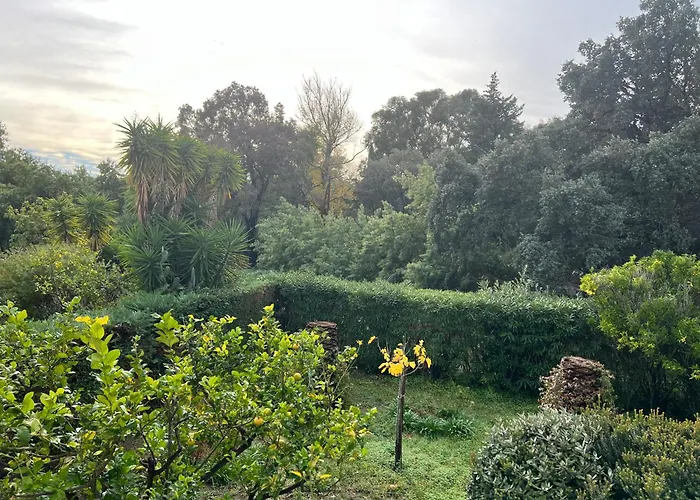 Cavaliere Au Chêne Liège * Le Lavandou