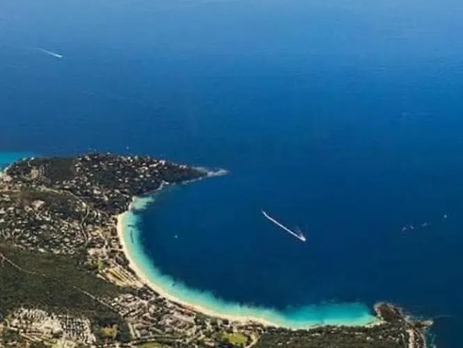 Cavaliere Au Chene Liege *